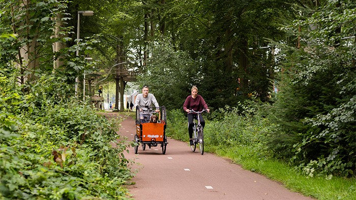 Bakfiets (elektrisch)  op de Veluwe in 