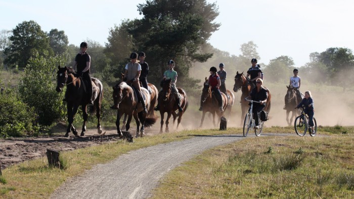 Buitenrit te paard op de Veluwe in 