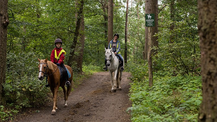 Buitenrit te paard op de Veluwe in 