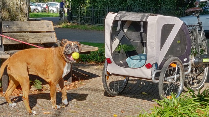 7-versnellingen unisex fiets op de Veluwe in 