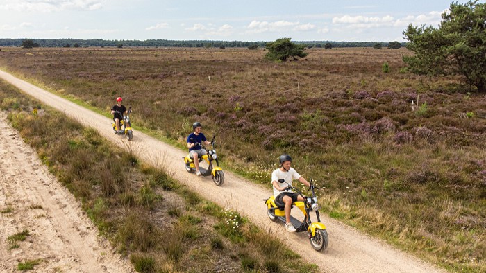 E-chopper  op de Veluwe in 