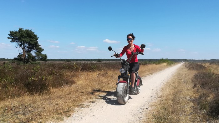  op de Veluwe in 