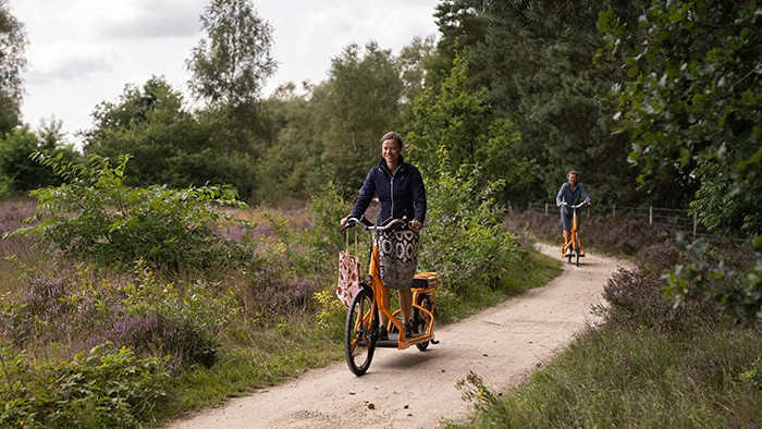 E-loopfietsen op de Veluwe in 