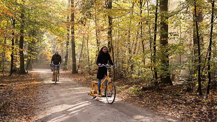 E-loopfietsen op de Veluwe in 