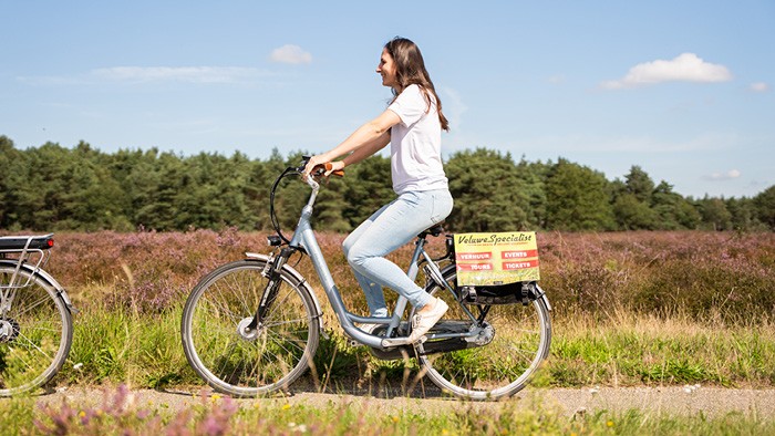 Elektrische fiets huren incl. entree Park Hoge Veluwe op de Veluwe in 