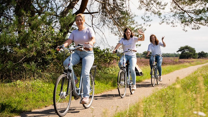 Elektrische fietsen op de Veluwe in 