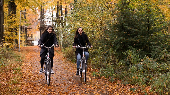 Elektrische fietsen op de Veluwe in 