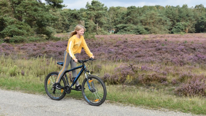 Kinderfiets huren op de Veluwe in 