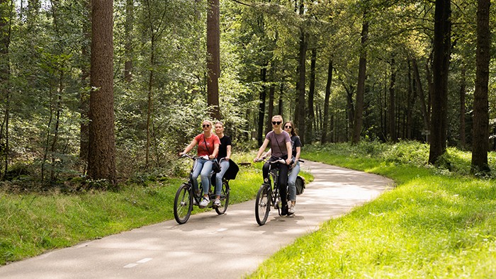 Tandem tocht op de Veluwe in 