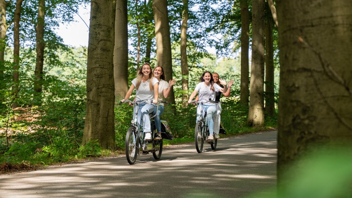 Tandemtocht op de Veluwe in 