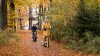E-Loopfiets op de Veluwe in 
