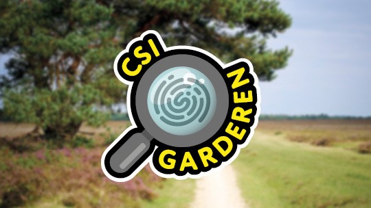 Activiteit / Dagje weg CSI Garderen op de Veluwe