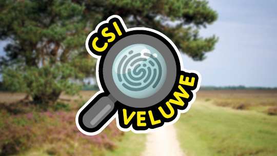 Activiteit / Dagje weg CSI Staverden op de Veluwe