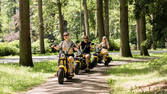E-chopper Deluxe op de Veluwe Activiteit / Dagje weg E-chopper Deluxe op de Veluwe