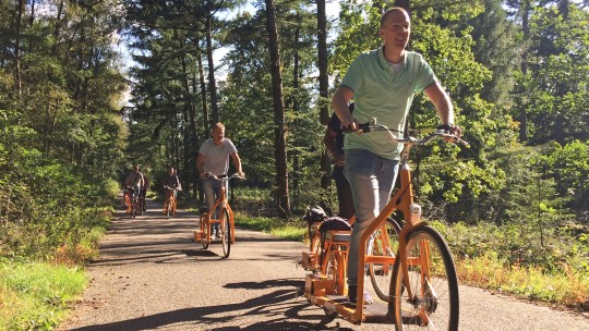 Activiteit / Dagje weg E-loopfiets op de Veluwe