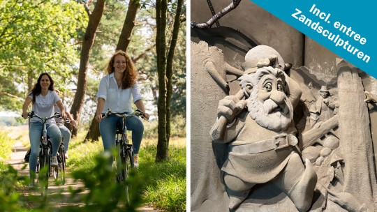 Activiteit / Dagje weg Fiets incl. entree Zandsculpturen op de Veluwe