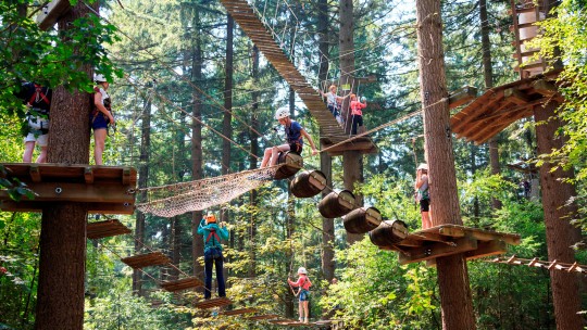 Activiteit / Dagje weg Klimbos Garderen op de Veluwe