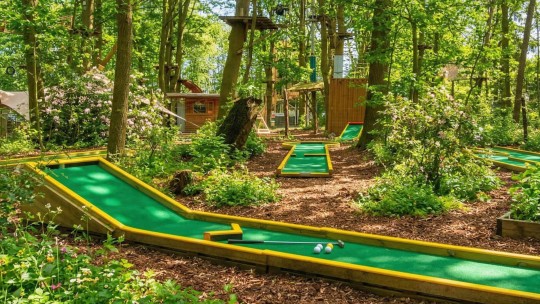 Activiteit / Dagje weg Minigolf Harderwijk op de Veluwe
