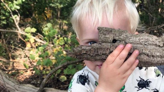 Activiteit / Dagje weg Nature Game Garderen | Dansende bomen op de Veluwe