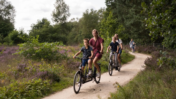  op de Veluwe in 