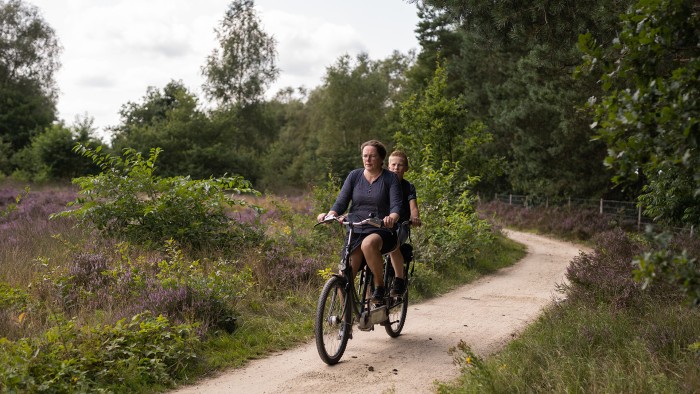  op de Veluwe in 