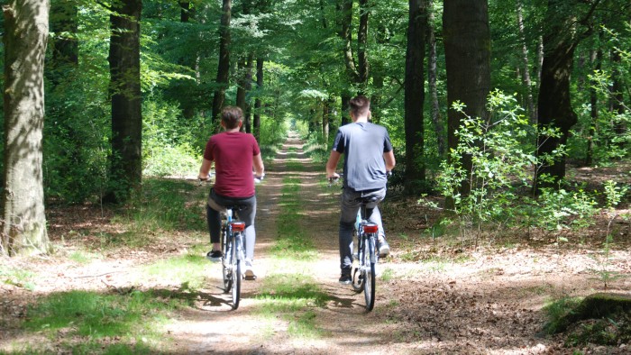  op de Veluwe in 