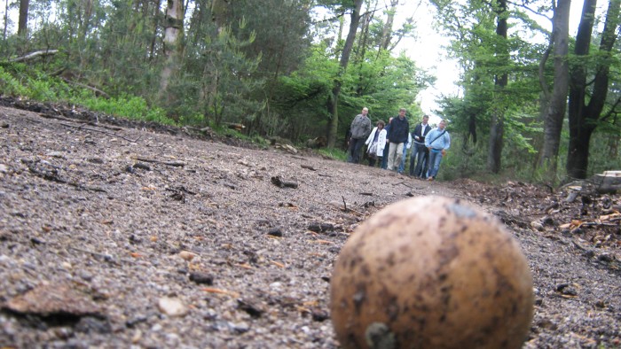  op de Veluwe in 
