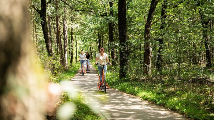  op de Veluwe in 