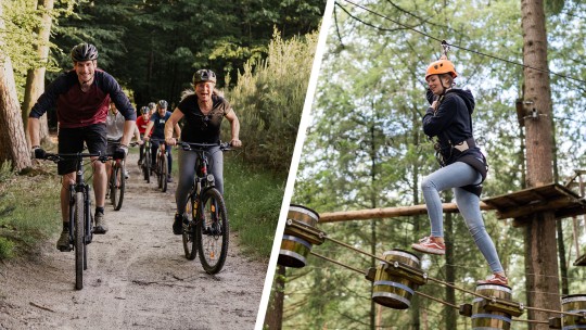 Crossen door de bossen | Veluwe Specialist