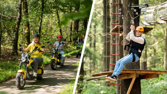 Jullie kunnen de boom in | Veluwe Specialist