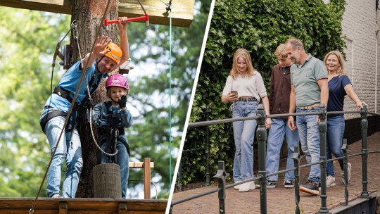 Activiteit / Dagje weg Jullie kunnen de boom in op de Veluwe