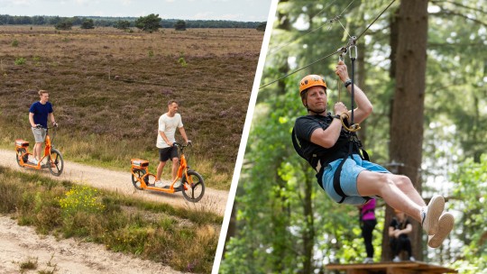 Jullie kunnen de boom in | Veluwe Specialist