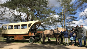 Beekse Hoeve