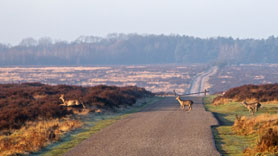 Park De Hoge Veluwe