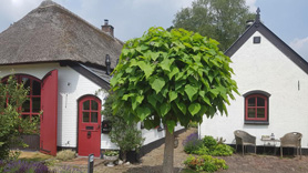 Het Bakhuis, Loenen