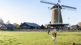 Onder de molen, Garderen