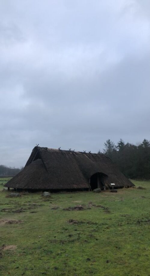 Celtic Fields