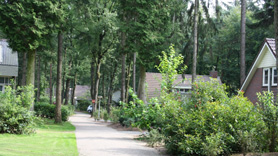 Droompark Bospark , Garderen