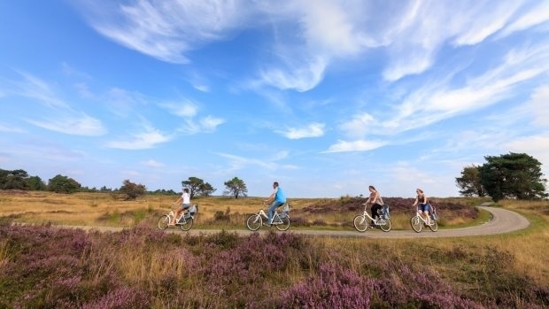 Park de Hoge Veluwe