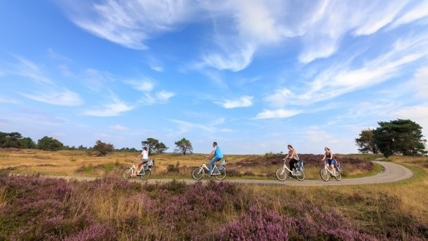 Nationaal park de Hoge Veluwe