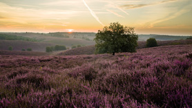 heide-fietsroute