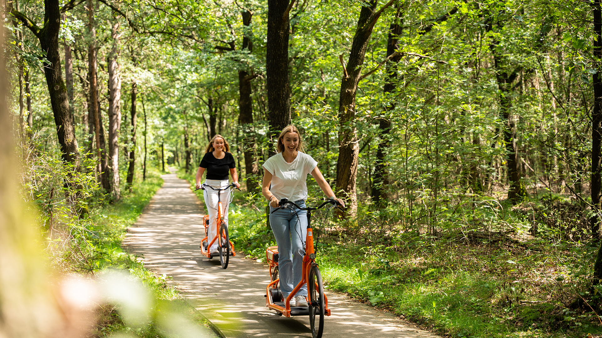  op de Veluwe in 