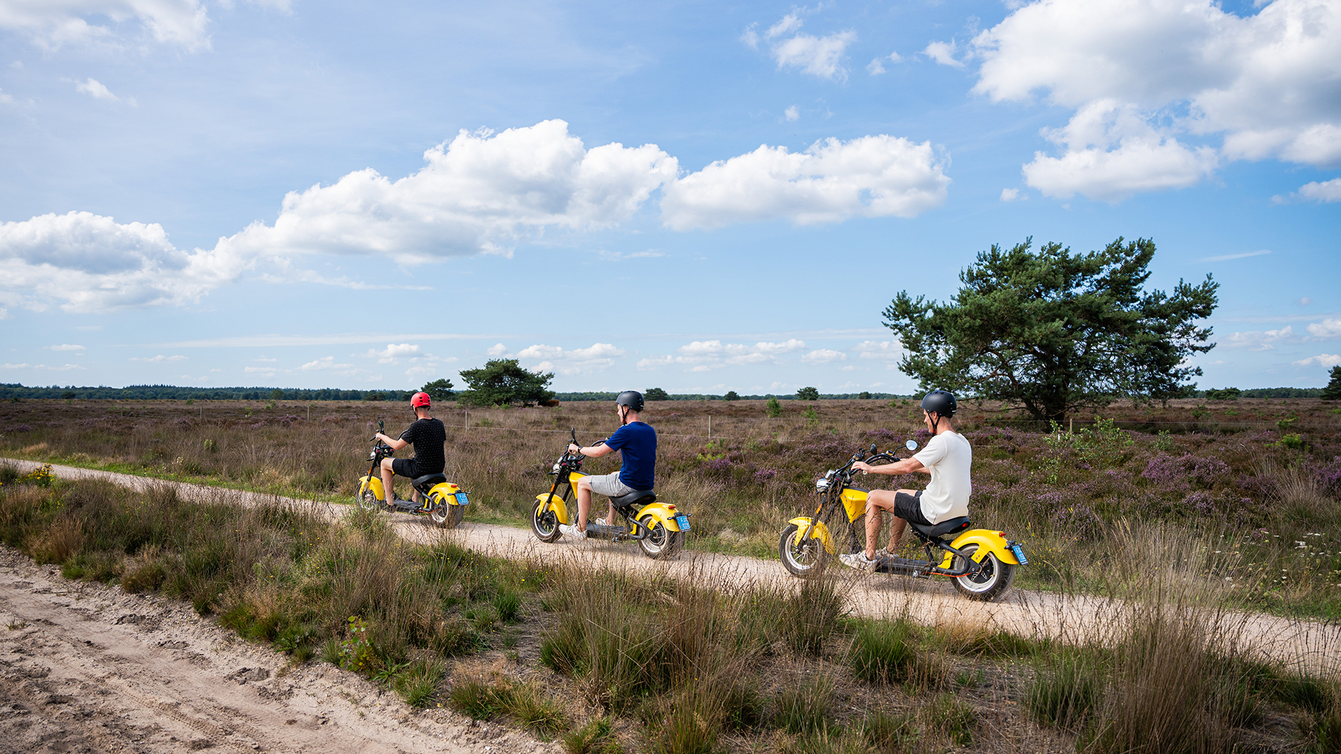  op de Veluwe in 