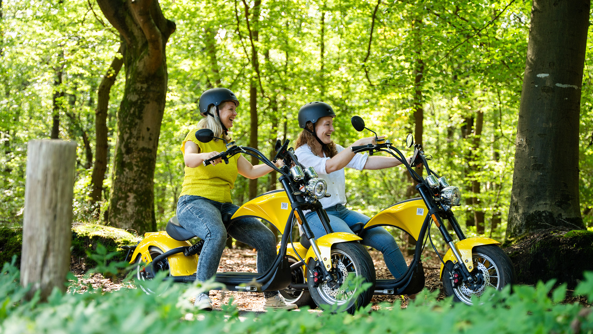  op de Veluwe in 