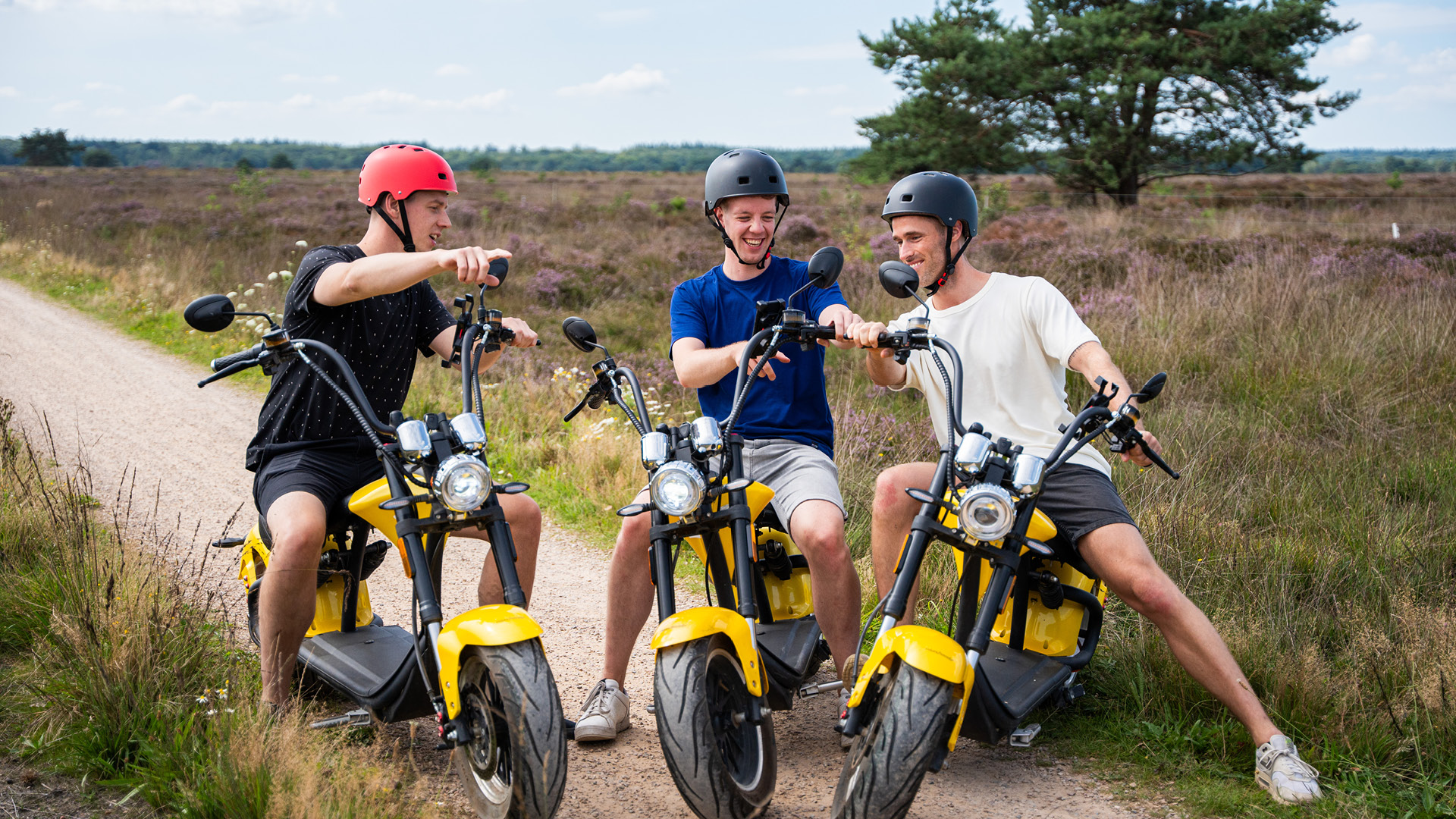  op de Veluwe in 