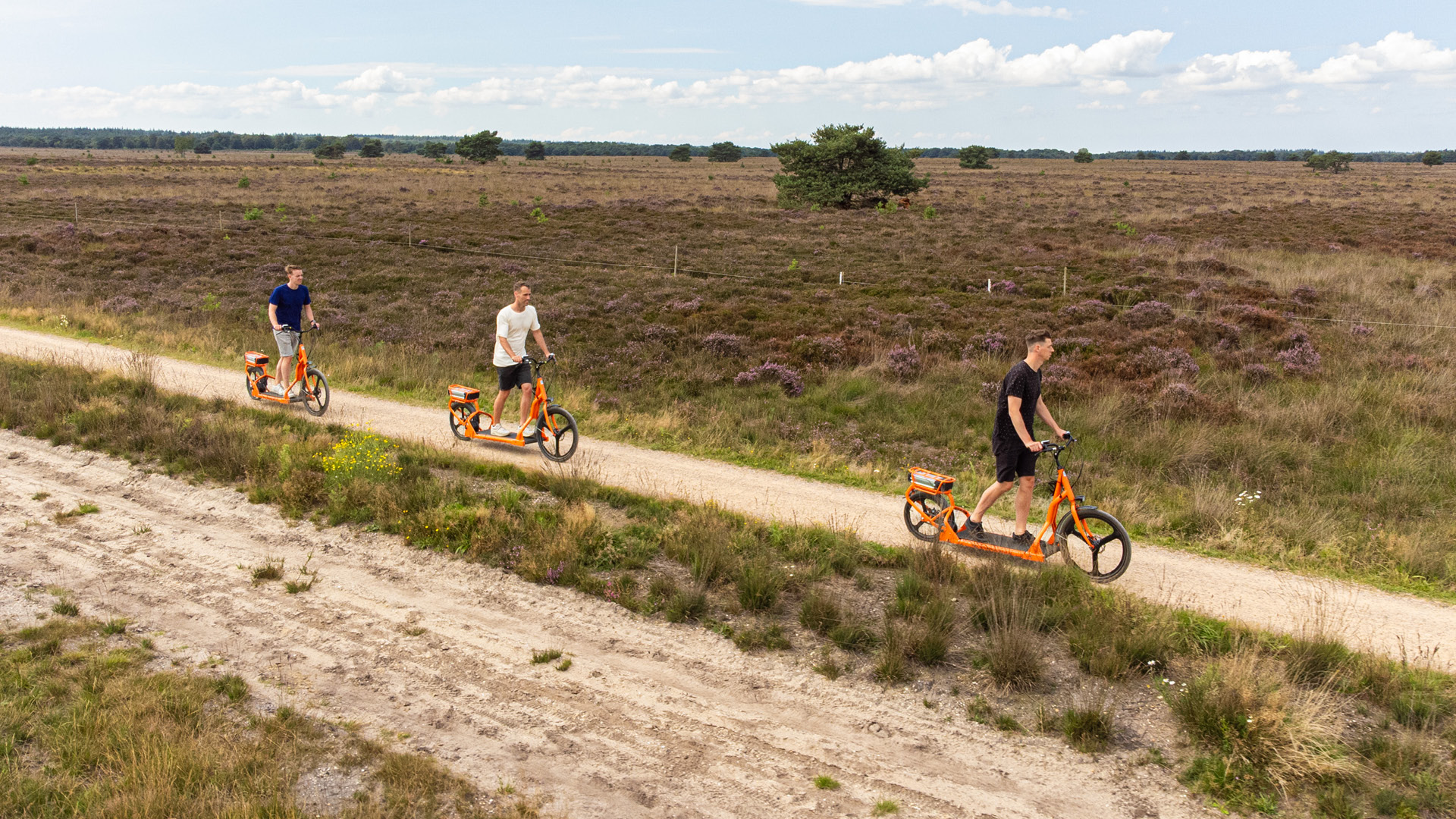  op de Veluwe in 