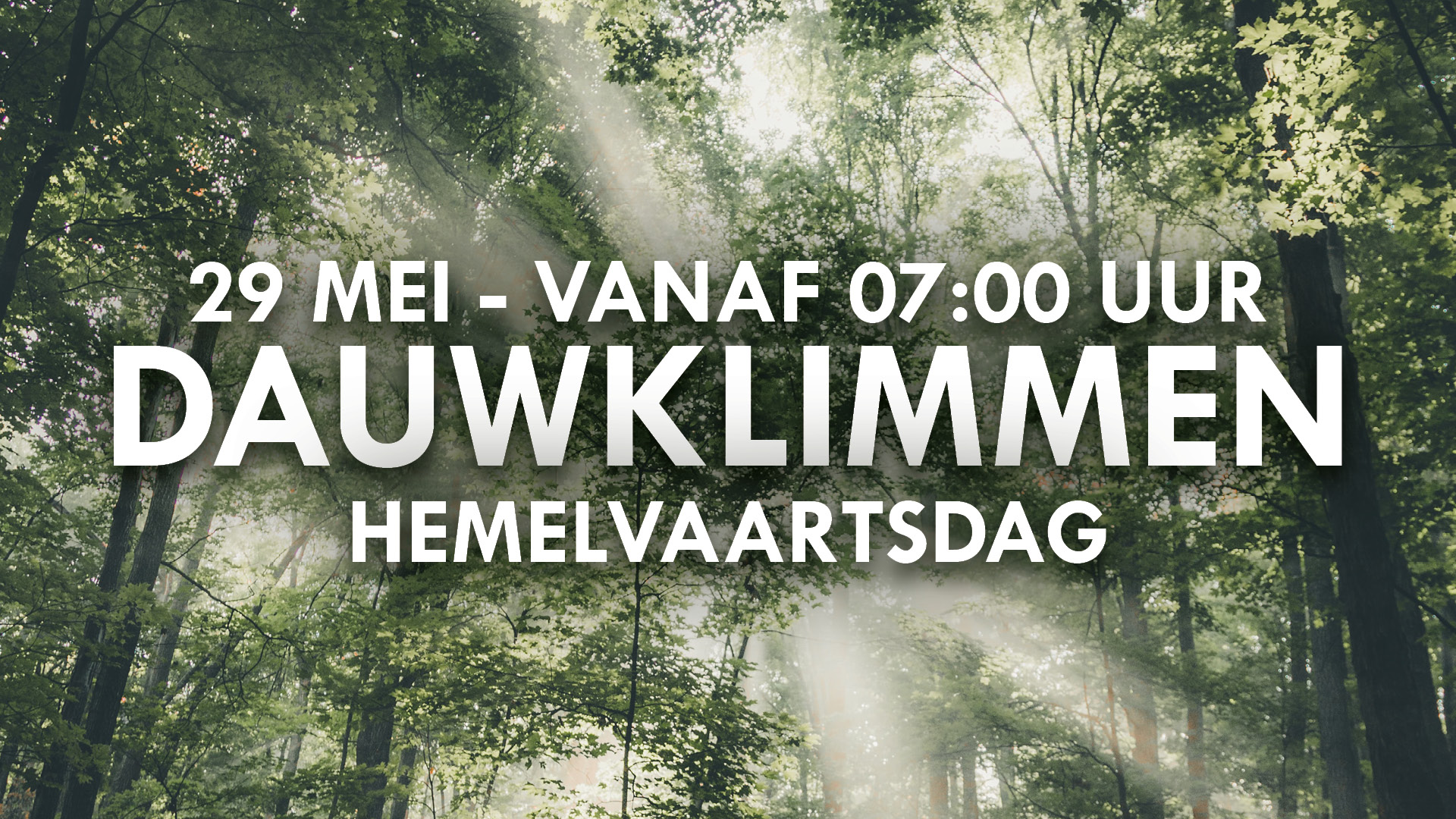 Dauwklimmen - Klimbos Harderwijk