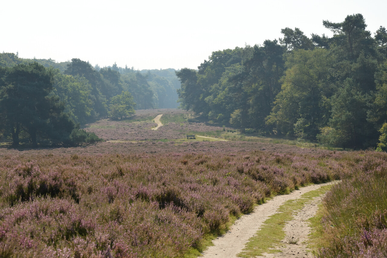 Landgoedwandeling, Landgoed Warnsborn