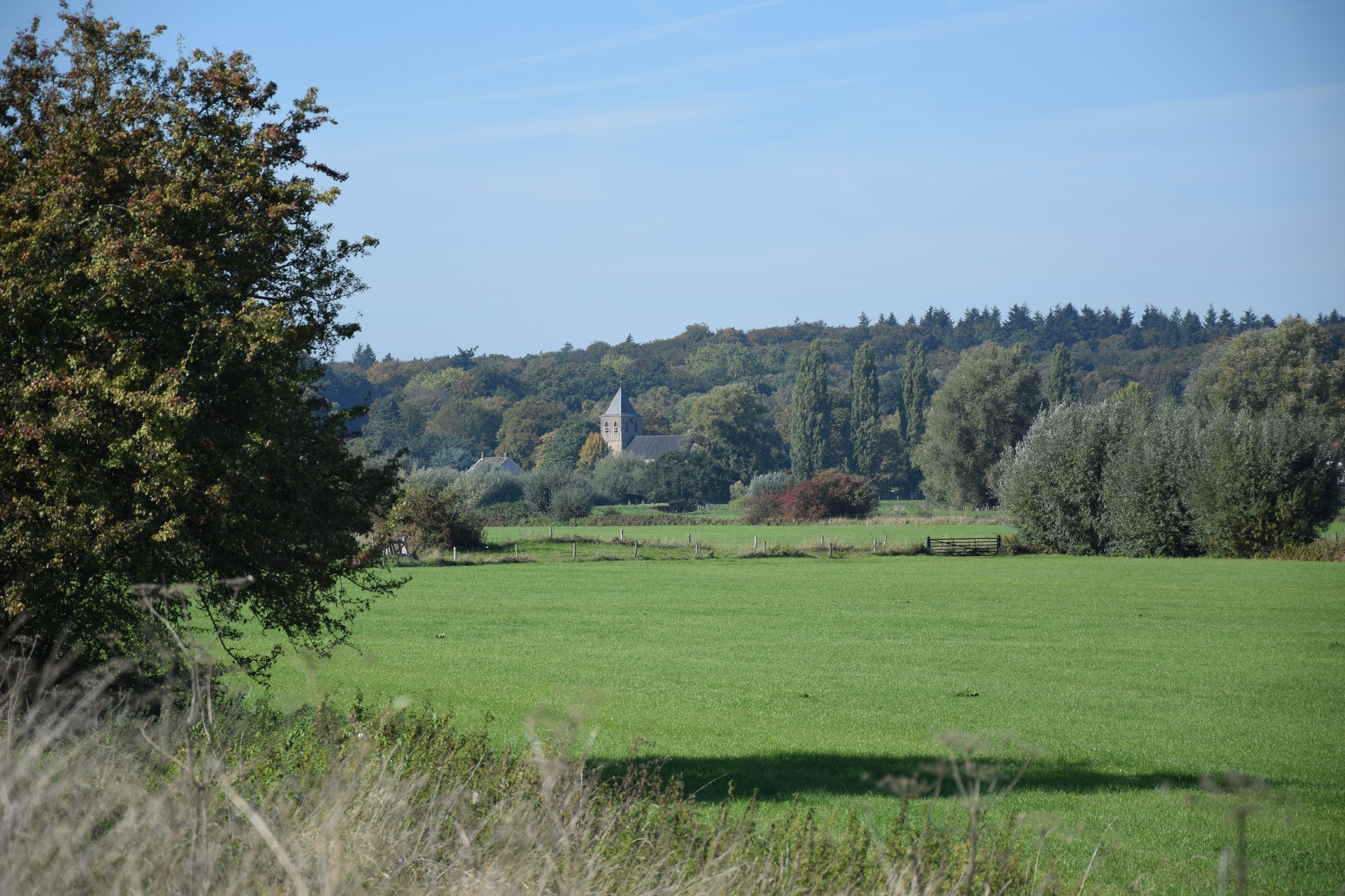 Wandelen langs de Slijpbeek, Landgoed Mariëndaal, Rosandepolder