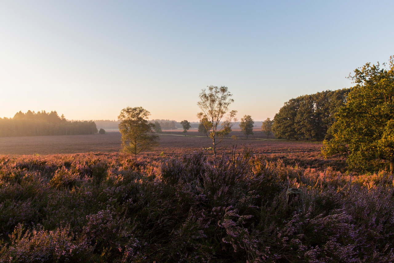 Cultuurhistorische wandeling, landgoed De Dellen